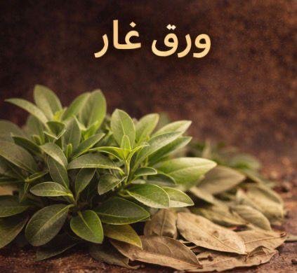 ورق غار